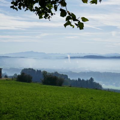 022 Blick auf Säntis und Churfirsten